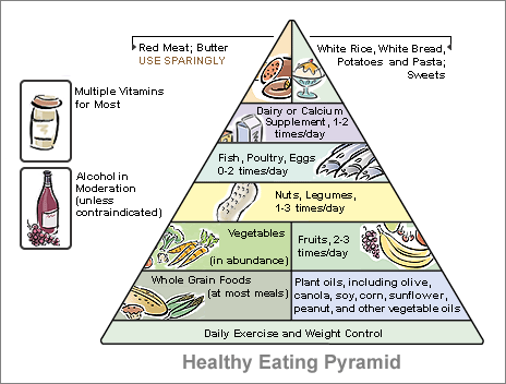 This food pyramid is recommended by Chicago Fitness Trainers