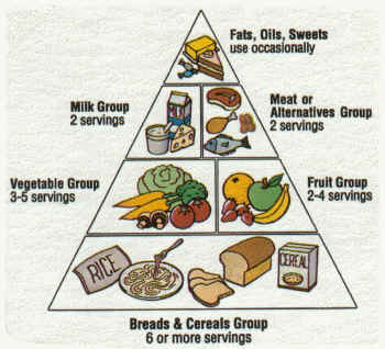 Chicago Fitness Trainers say don't use this food pyramid